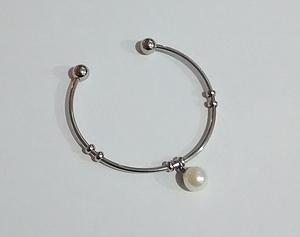 3667 Puls Perla Pl